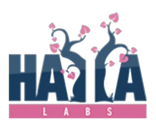 haya_logo